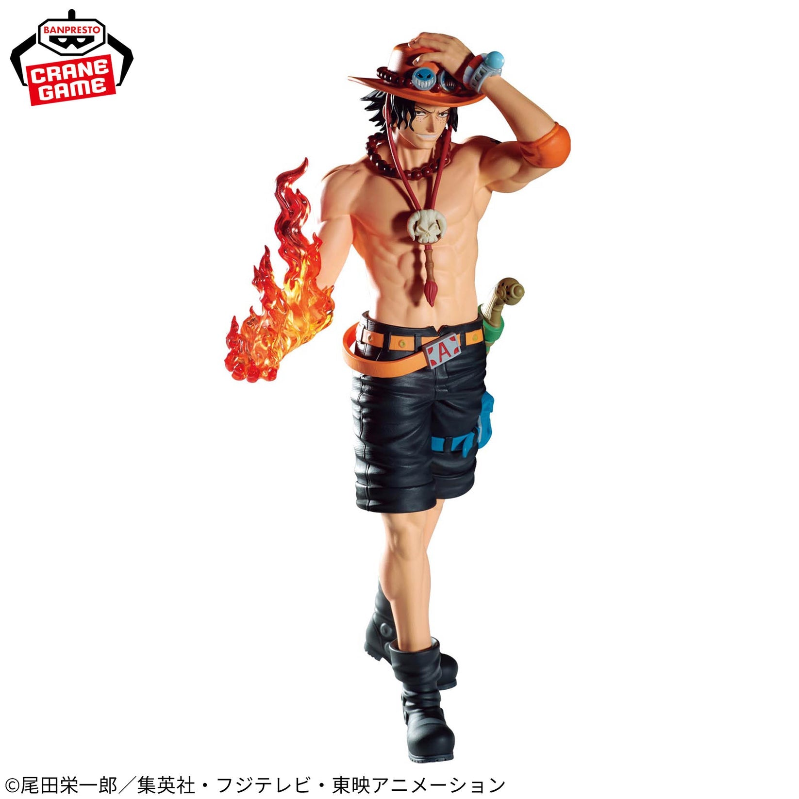 Portgas D. Ace The Shukko Logia - copertina